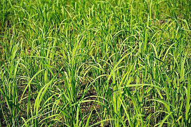 次世代《三维弹球FX》现已在Epic商城免费推出 支持中文